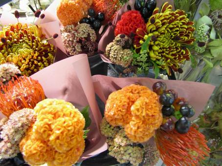 花 植物 花 植物 花束,植物,ブーケの写真素材