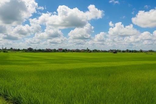 青空と広がる田園と村の風景の写真