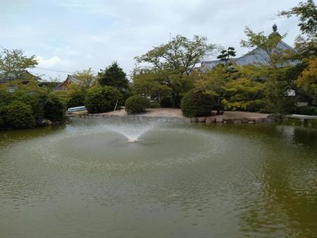 池の噴水 池の噴水の写真