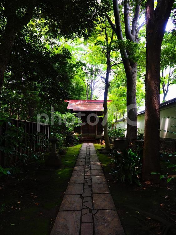 小石川後楽園　古い祠に続く石畳 小石川後楽園,錦春稲荷神社,神社の写真素材