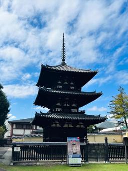 興福寺三重塔 興福寺三重塔 興福寺,三重塔,奈良の写真素材