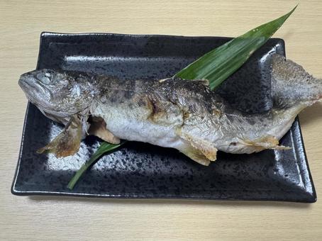 酒のあてのイメージ あまご 酒のあてのイメージ あまご 酒のあて,あまご,天魚の塩焼きの写真素材
