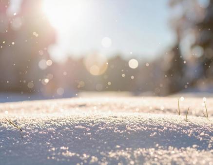 雪と光のボケが輝く冬の幻想的背景 雪と光のボケが輝く冬の幻想的背景の写真