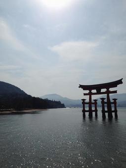 厳島神社 厳島神社の写真