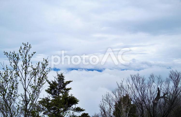 両神山の森林をハイキング　雲海 両神山,悪天候,雨の写真素材