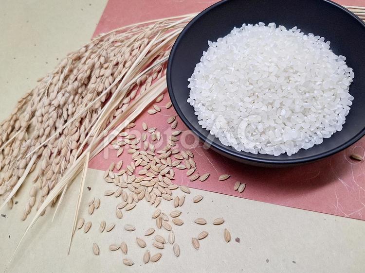 稲穂と籾と白米_和紙バック_5 秋,秋の味覚,米の写真素材