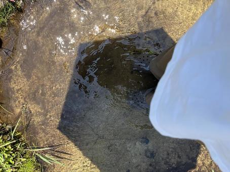 水 水 水,冷たい,気持ちいいの写真素材