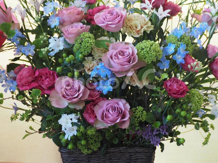 フラワーアレンジ　バラとデルフィニウム① フラワーアレンジメント,花,flowerの写真素材