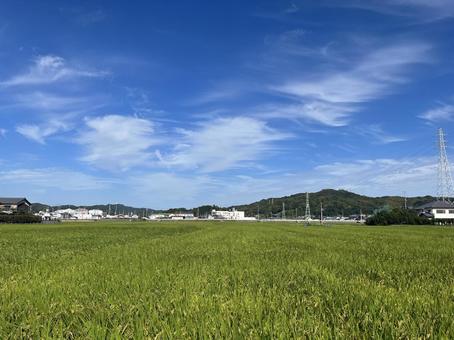 田舎 田んぼ 山 田舎 田んぼ 山の写真