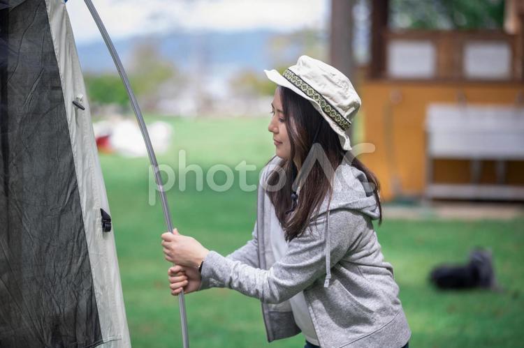 テントを組み立てる テント,キャンプ,組み立ての写真素材