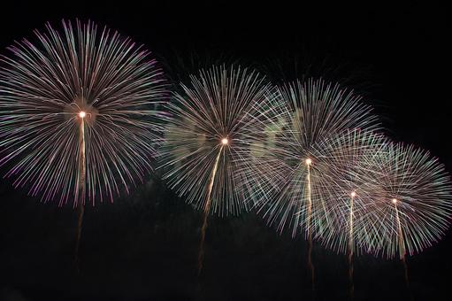 25年長岡まつり 花火 25年長岡まつり 花火の写真