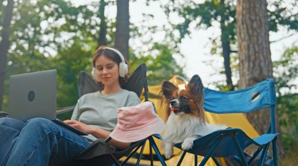 キャンプでくつろぐヘッドホンをつけた女性と犬 パピヨン,かわいい,女性の写真素材