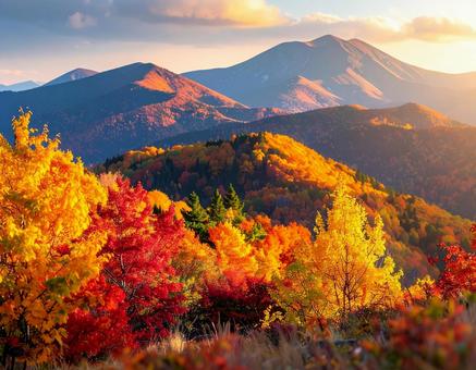 美しい紅葉の山頂 美しい紅葉の山頂の写真