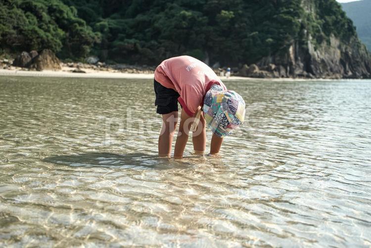 ※＜素材＞夏の海水浴場で水遊びをする幼児 子供,男性,人物の写真素材