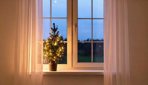 クリスマスツリー クリスマスツリーの写真