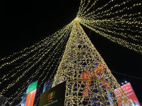 ライトアップ ライトアップの写真