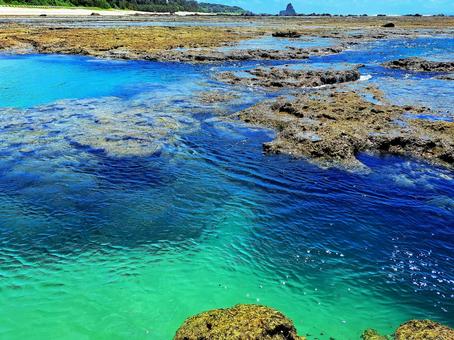 奄美のエメラルドグリーンの海 奄美のエメラルドグリーンの海 海,風景,エメラルドグリーンの写真素材