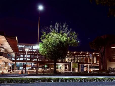 夜に望む奈良公園バスターミナルと木の写真