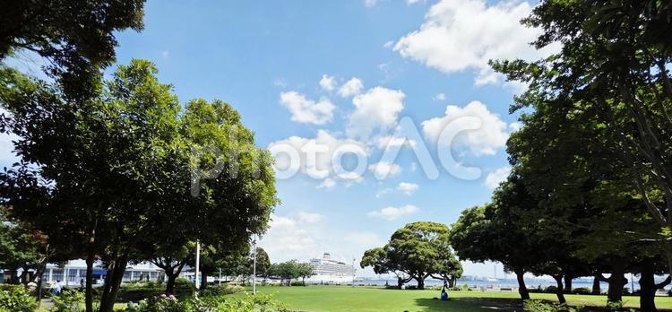 風景　横浜　山下公園 風景,街並み,神奈川県の写真素材