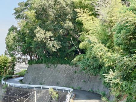 山道のカーブ 山道のカーブの写真