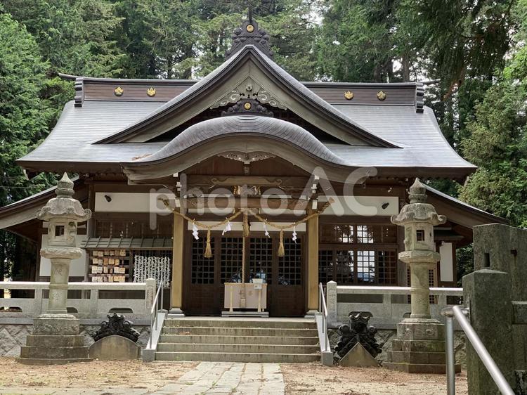 神社 神社,境内,長野県の写真素材