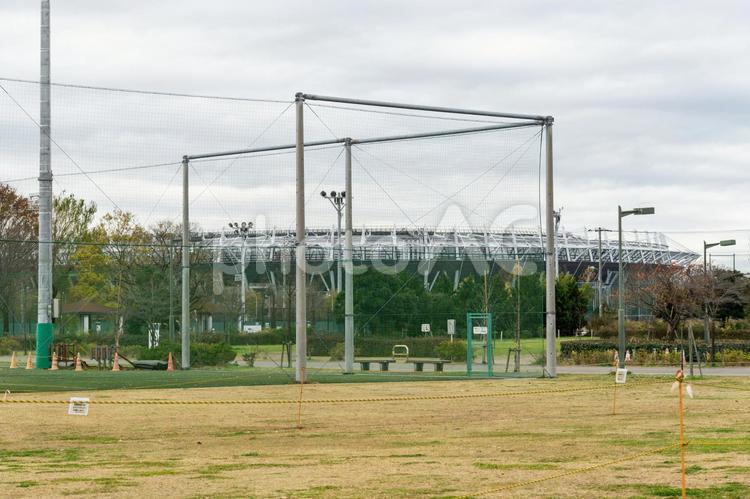 武蔵野の森公園 武蔵野の森公園,公園,植物の写真素材