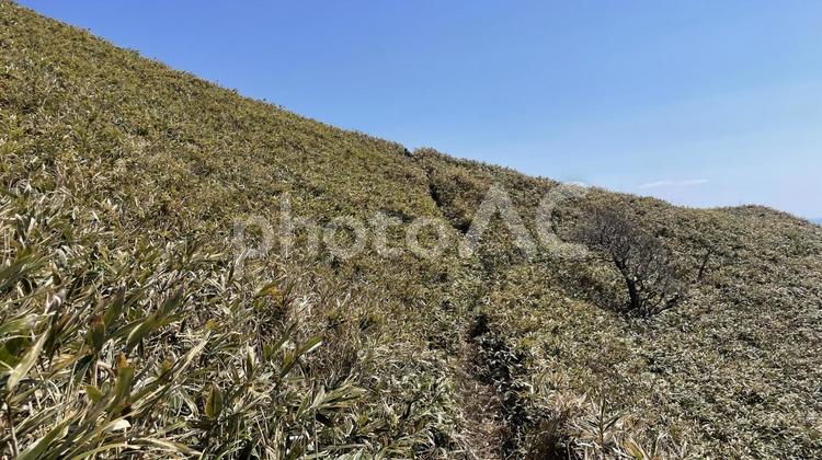 空と熊笹に覆われた山 空,熊笹,山の写真素材