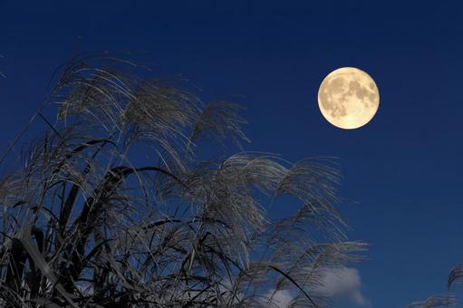 中秋の名月 中秋の名月 月,十五夜,満月の写真素材