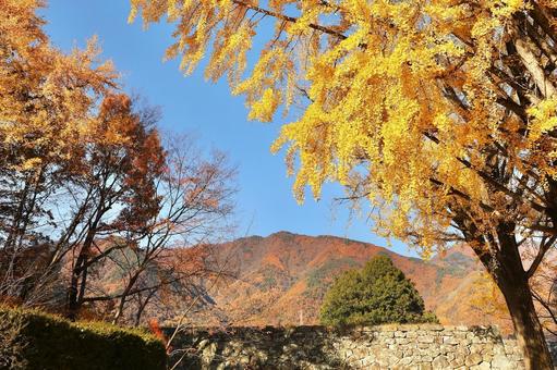 紅葉　長野県　上田城 紅葉,長野県,上田城の写真素材