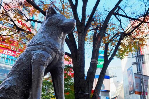 渋谷の空、ハチ公の空 渋谷の空、ハチ公の空 渋谷,ハチ公,ハチ公前広場の写真素材