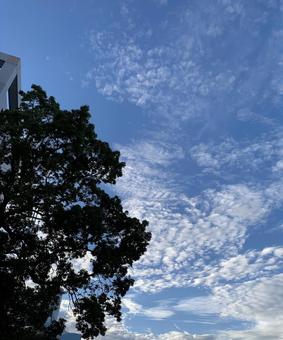 夏の青空と白い雲の写真