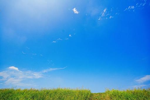 真夏の江戸川土手の青空 真夏の江戸川土手の青空の写真