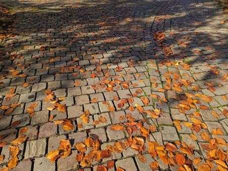 秋の石畳 枯れ葉 秋,自然,地面の写真素材