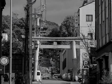 伊佐爾波神社 伊佐爾波神社 伊佐爾波神社,道後温泉,愛媛県の写真素材