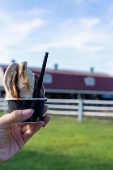 牧場で楽しむひんやりジェラート ジェラート,アイスクリーム,スイーツの写真素材