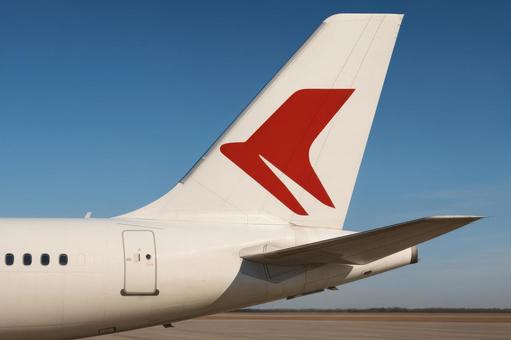 飛行機のロゴが印象的な尾翼のアップの写真