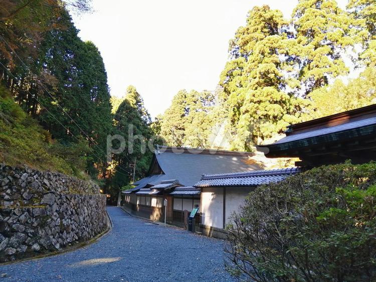 比叡山延暦寺　西塔　滋賀 比叡山延暦寺,西塔,滋賀の写真素材