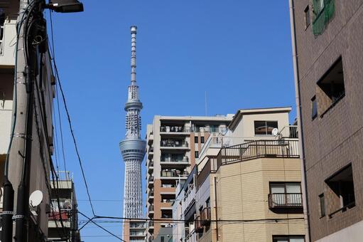 青空とビルの街並みの中にスカイツリー 青空,ビル,街並みの写真素材