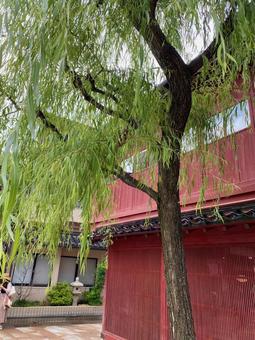 東茶屋 東茶屋 ひがし茶屋街,風情,弁柄塗りの写真素材
