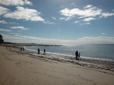 メルボルン郊外のビーチ オーストラリア,メルボルン,ビーチの写真素材