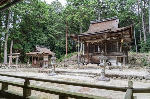 滋賀　大笹原神社　本殿 大笹原神社,大笹原,神社の写真素材