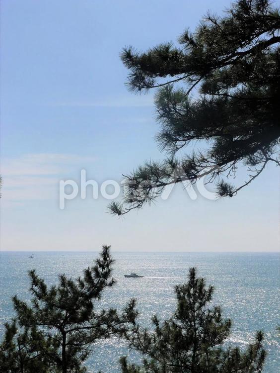 桂浜　龍馬の見た海 桂浜,龍馬の見た海,海の写真素材