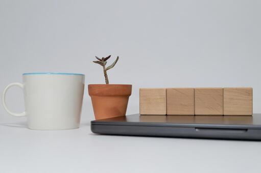 コーヒーと多肉植物と無地の木製ブロック ブランク,無地,文字なしの写真素材