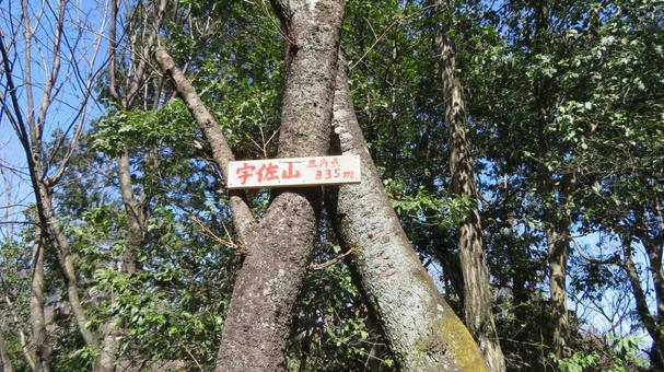 宇佐山城　城跡の風景　山頂 宇佐山城,宇佐山,森可成の写真素材