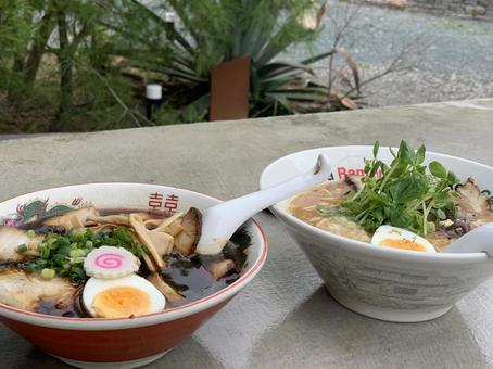 Photo, ramen, lunch, delicious, 