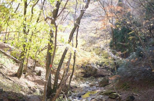 山 山の写真