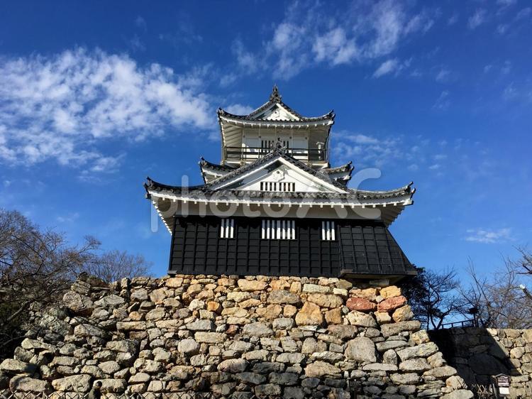 浜松城と青空 浜松城,浜松市,石垣の写真素材
