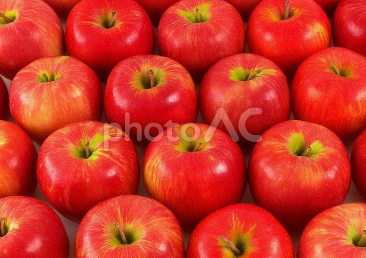 たくさんのりんご リンゴ,りんご,果物の写真素材