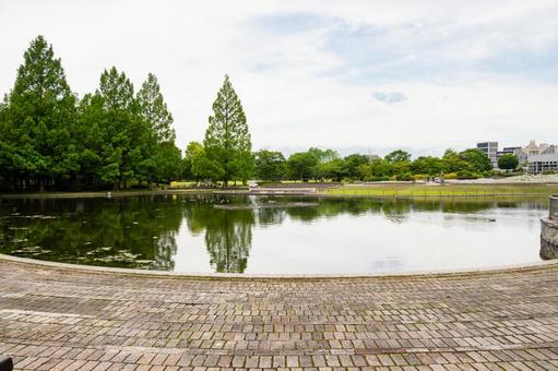 Photo, early summer, urban park, park, 