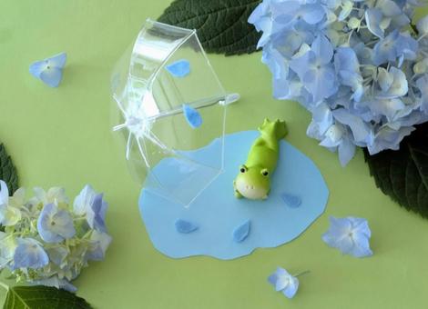 梅雨の日のカエルくん 梅雨の日のカエルくん 梅雨,雨季,紫陽花の写真素材